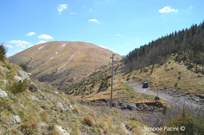 MONTE PRATO FIORITO: PRATO FIORITO 2' IMMAGINE